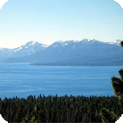 Tahoe City Water Damage and Mold Removal & Testing Services
